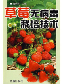 草莓无病毒栽培技术