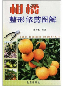 柑橘整形修剪图解