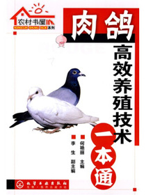 肉鸽高效养殖技术一本通
