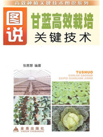图说甘蓝高效栽培关键技术