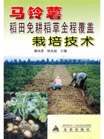 马铃薯稻田免耕稻草全程覆盖栽培技术
