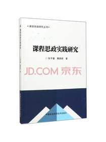 课程思政实践研究/课程思政研究丛书