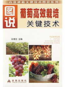 图说葡萄高效栽培关键技术