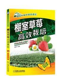 棚室草莓高效栽培