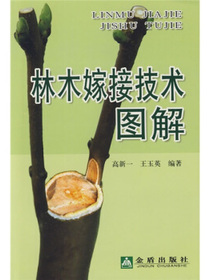 林木嫁接技术图解