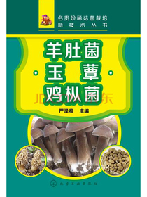 名贵珍稀菇菌栽培新技术丛书：羊肚菌·玉蕈·鸡枞菌