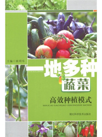一地多种蔬菜高效种植模式