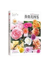 蔷薇花图鉴