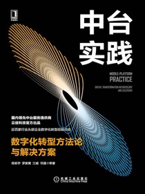 中台实践：数字化转型方法论与解决方案