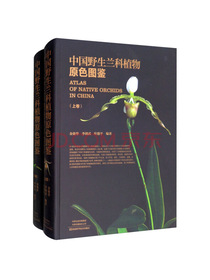 中国野生兰科植物原色图鉴（套装上下册）
