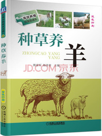 种草养羊
