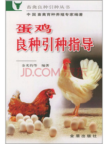 蛋鸡良种引种指导