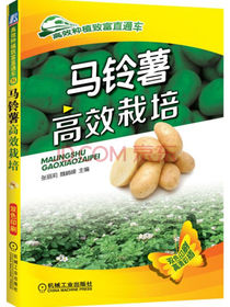 马铃薯高效栽培