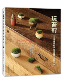 玩苔藓：六大名师教你手制苔藓球和苔藓小景
