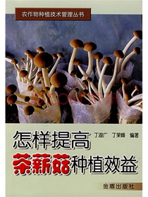 怎样提高茶薪菇种植效益