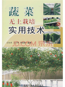 蔬菜无土栽培实用技术