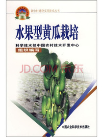 水果型黄瓜栽培