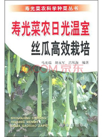 寿光菜农日光温室丝瓜高效栽培