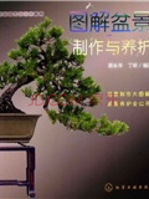 图解盆景制作与养护