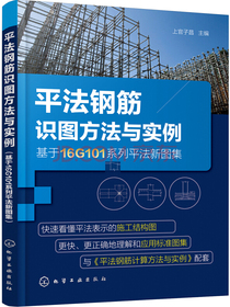 平法钢筋识图方法与实例（基于16G101系列平法新图集）
