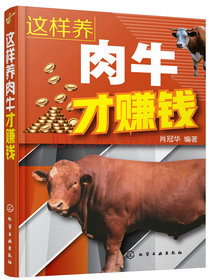 这样养肉牛才赚钱