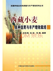 西藏小麦良种选育与丰产增效栽培