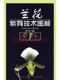 兰花繁育技术图解