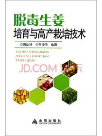 脱毒生姜培育与高产栽培技术