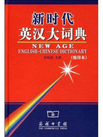 新时代英汉大词典