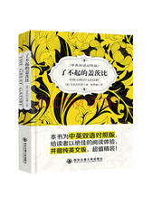 了不起的盖茨比