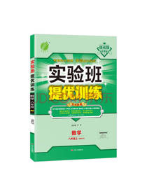 严军 实验班提优训练
