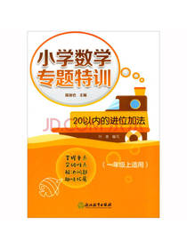 小学数学专题特训