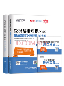 环球网校官方2020年版中级经济师考试历年真题题库试卷基础知识人力资源专业与实务刘艳霞全套6本