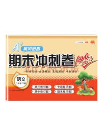 小学二年级期末冲刺卷100分