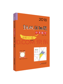 挑战中考数学压轴题