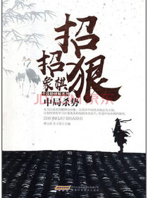 中局杀势/招招狠象棋全攻略破解系列