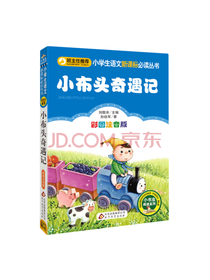 小布头奇遇记 彩图注音版