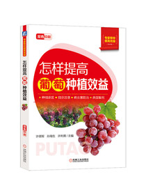 怎样提高葡萄种植效益