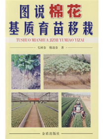图说棉花基质育苗移栽