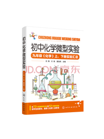 初中化学微型实验