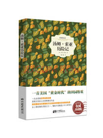 汤姆·索亚历险记