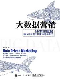 大数据营销：如何利用数据精准定位客户及重构商业模式