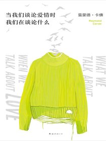 当我们谈论爱情时我们在谈论什么