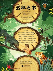 丛林之书