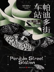 巴斯-拉格：帕迪多街车站