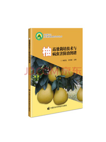 柚高效栽培技术与病虫害防治图谱