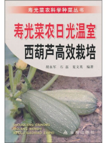 寿光菜农日光温室西葫芦高效栽培