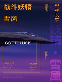 战斗妖精·雪风：GOOD LUCK