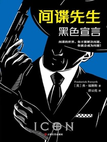 间谍先生：黑色宣言