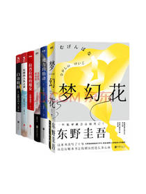 东野圭吾经典推理小说套装